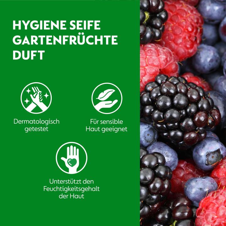 Produktbild Dettol No Touch (Flüssigseife, 250 ml)