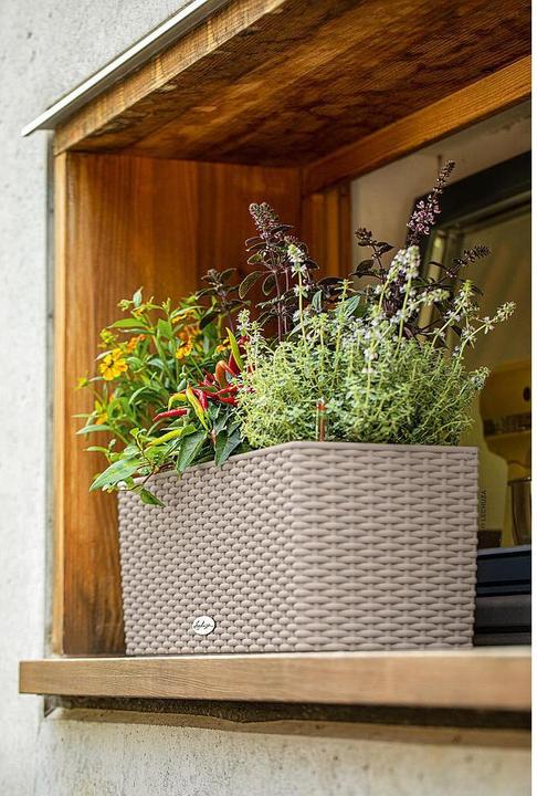 Image du produit Lechuza Pot de fleurs Balconera Cottage 50 (19 cm)