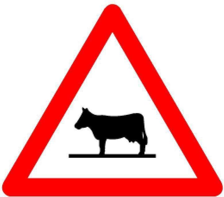 Immagine prodotto BRW Scheda segnaletica animali mucca 1.25