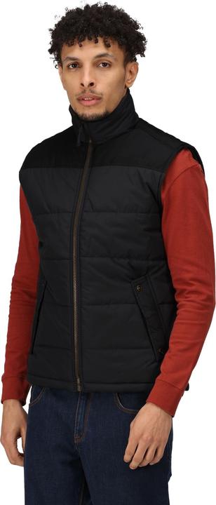 Image du produit Regatta Gilet Standout Altoona isolé (L)