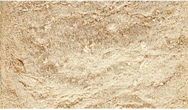 Immagine prodotto Schweizer Integratore alimentare Easy Barf Pro Active Powder, 300g (Adulto, 1 pz., 360 g)
