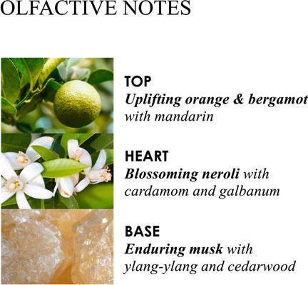 Actual product image Molton Brown Body Lotion Orange & Bergamot (Body lotion, 300 ml)