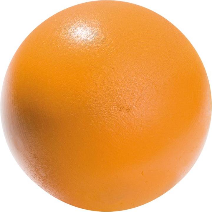 Produktbild Tanga Sports ® Stosskugel (6000 g)