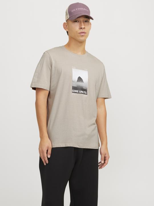 Immagine prodotto Jack & Jones T-shirt stampata con scollo rotondo (L)