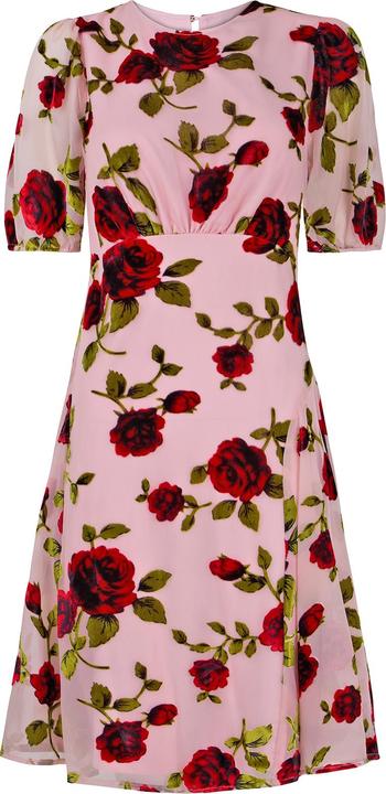 Produktbild Joe Browns Vintage Inspired Devore Rose Mini Dress (8)
