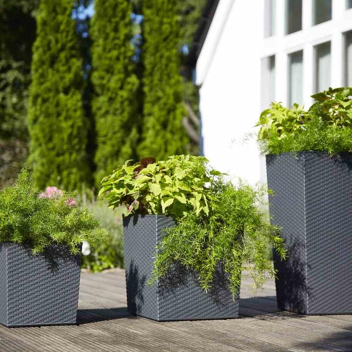 Actual product image Siena Garden Modern (40 cm)