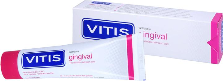 Actual product image Vitis gingival zanpasta (100 ml)