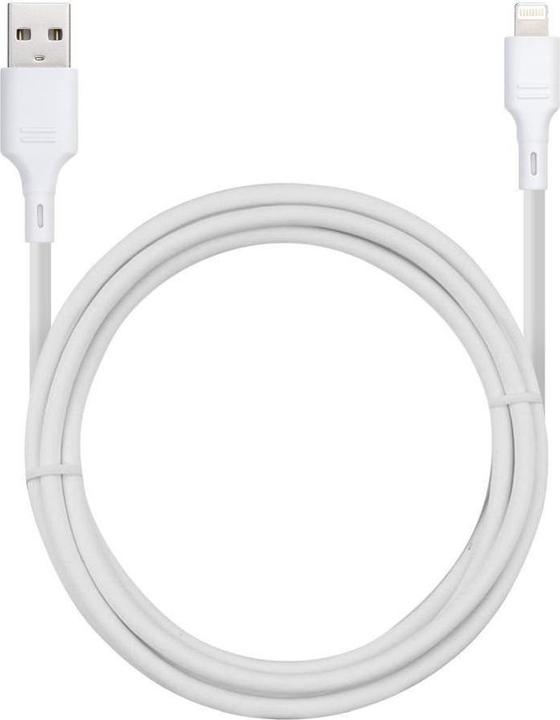 Câble de chargement et de transfert de données USB / Lightning (1 m, USB 3.2 Gen 1)