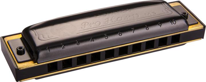 Actual product image Hohner Pro Harp (Harmonica, D sharp major)