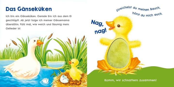 Image du produit Hör mal, wie ich schnattern kann (Mein erstes Streichel-Soundbuch 1) (Allemand)