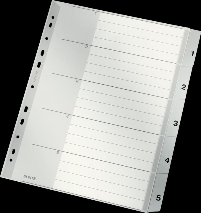 Immagine prodotto Leitz Registro PP