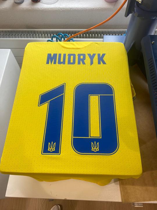 Actual product image Joma Ukraine EM 2024-25 (L)