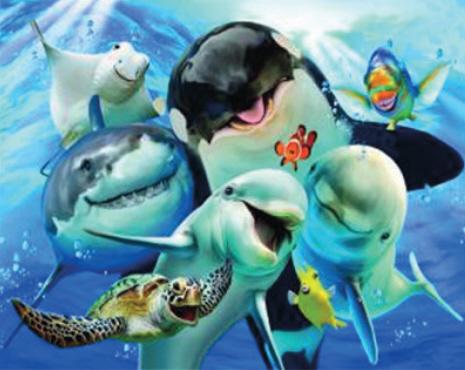 Actual product image Pracht Diamond Painting 6037-50021 Underwater World 33 x 44 cm