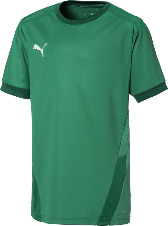 Puma teamGOAL 23 Jersey jr-704160 (152)
