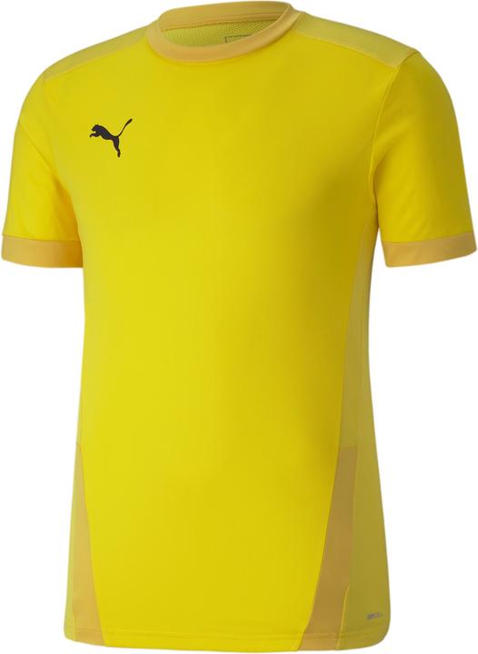Image du produit Puma teamGOAL 23 Jersey-704171 (L)