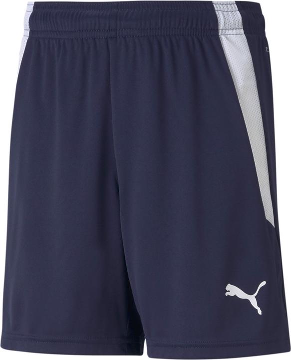 Image du produit Puma short teamLIGA Jr-704931 (116)