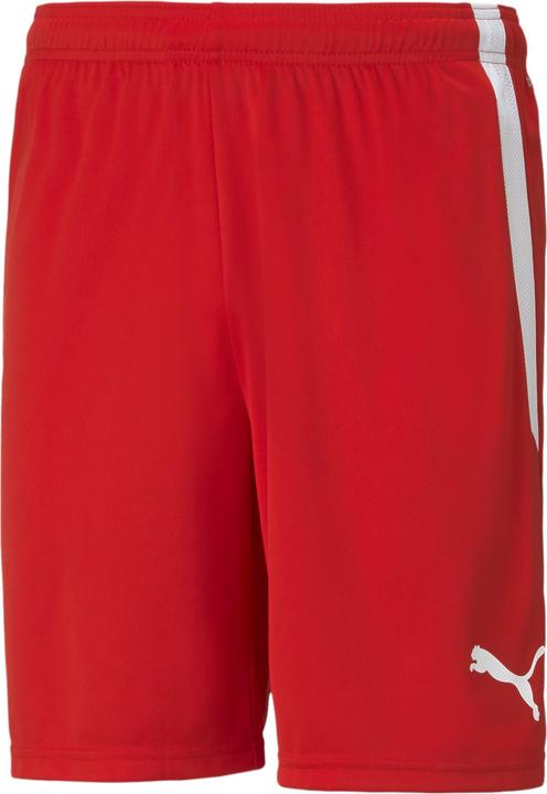 Actual product image Puma teamLIGA Shorts-704924 (L)