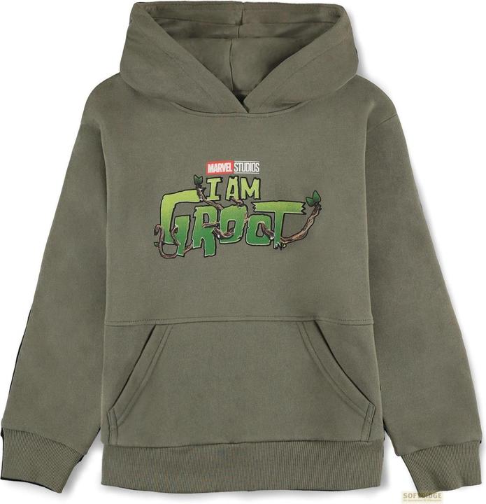 Actual product image Difuzed MARVEL - Groot - Hoodie Garçon (122/128) (122)