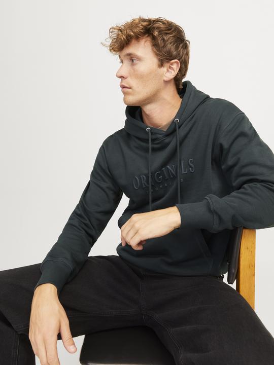 Image du produit Jack & Jones Jorfrederiksberg Sweat Hood Sn (XS)
