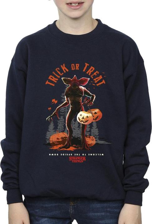 Image du produit Netflix - Sweat STRANGER THINGS TRICK OR TREAT DEMAGORGON - Garçon (128)