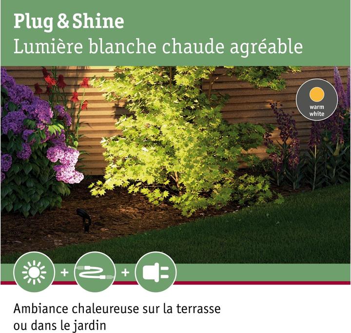 Actual product image Paulmann Plug & Shine Sting (655 lm, IP67)