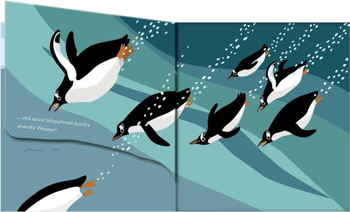 Immagine prodotto Baby Pixi (infrangibile) 142: Flippediflapp: Animali nel mare (Tedesco)