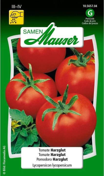 Produktbild Samen Mauser Tomate Harzglut (Gemüsesamen)
