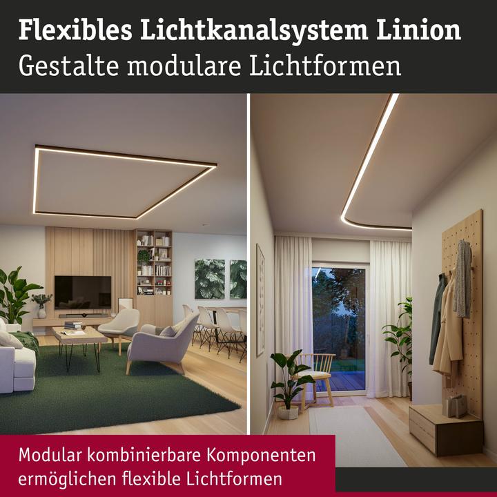 Actual product image Paulmann Lichtkanalsystem Linion Power Box