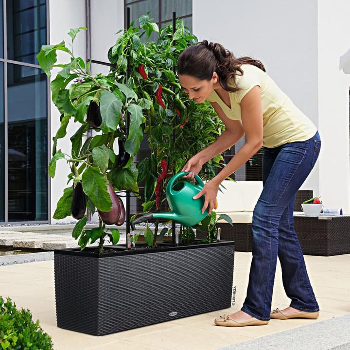 Produktbild Lechuza Trio Cottage (32 cm)