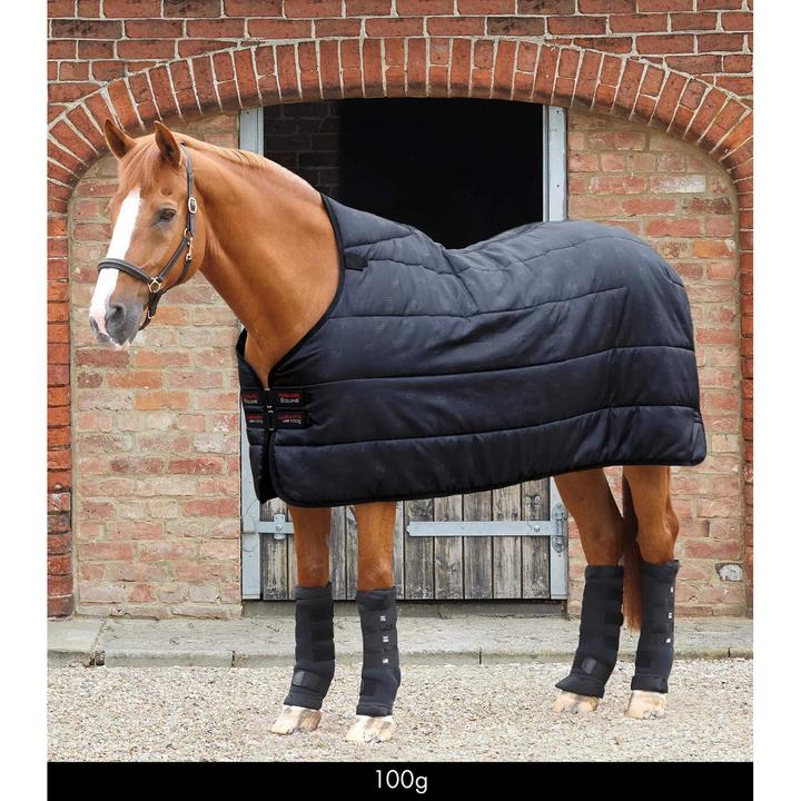 Immagine prodotto Premier Equine sottocoperta per cavalli lucanta 100 g (152 cm)