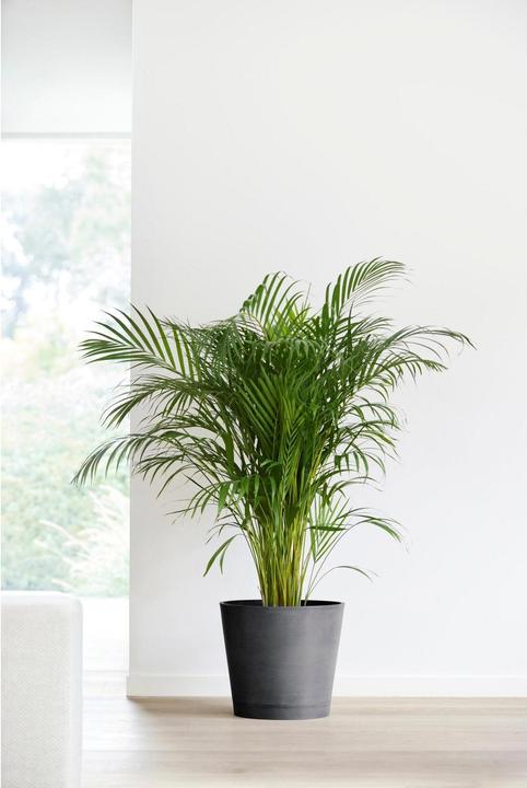 Produktbild Ecopots Venice (40 cm)