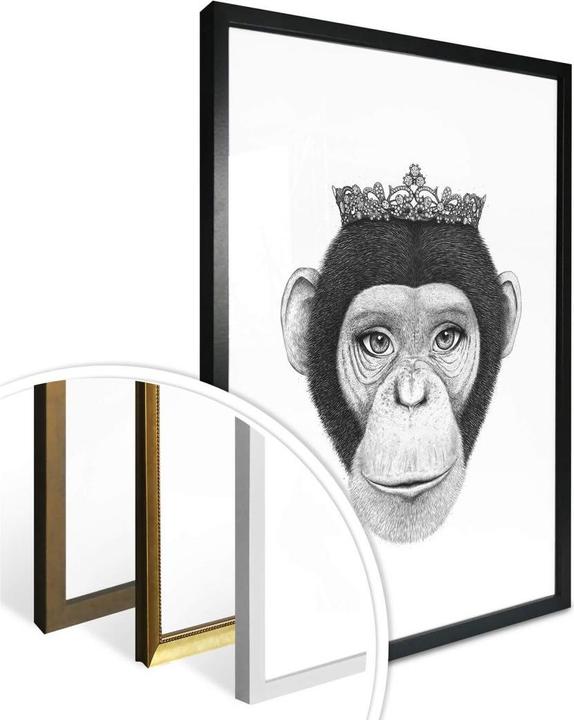 Immagine prodotto Trenddeko La regina scimmia (60 x 80 cm)