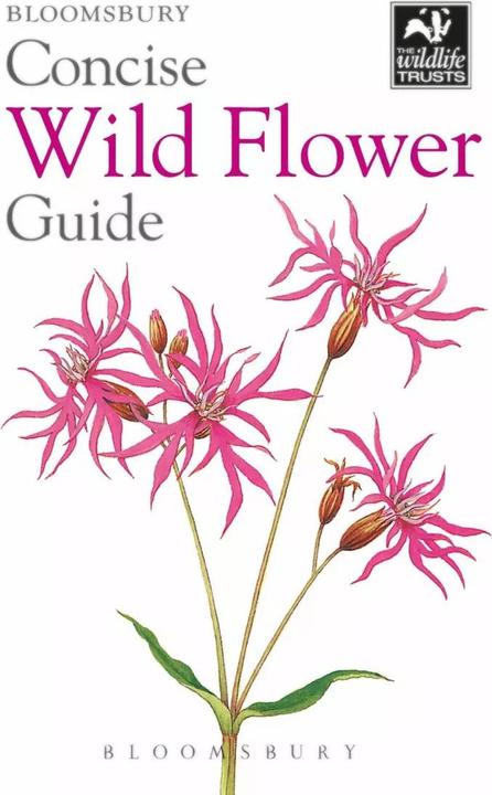 Image du produit Concise Wild Flower Guide (Anglais, Bloomsbury, 2018)