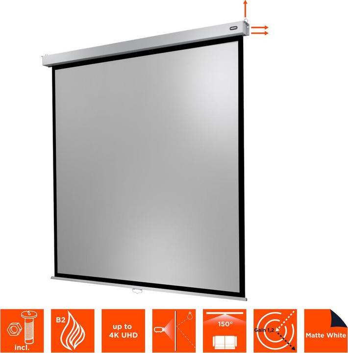 Actual product image Celexon Professional Plus (84", 1:1)
