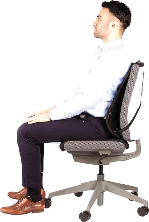 Produktbild Fellowes Professional Rückenstütze
