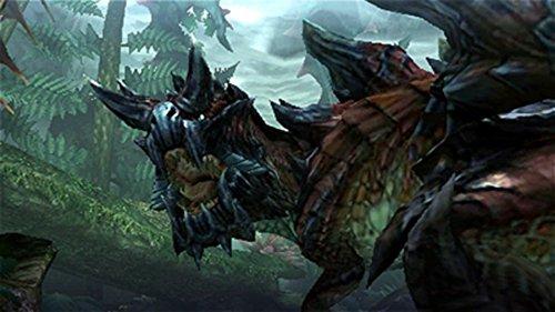 Actual product image Capcom Monster Hunter Generations (3DS, EN)