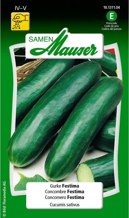 Image du produit Samen Mauser Festima (Graines de légumes)