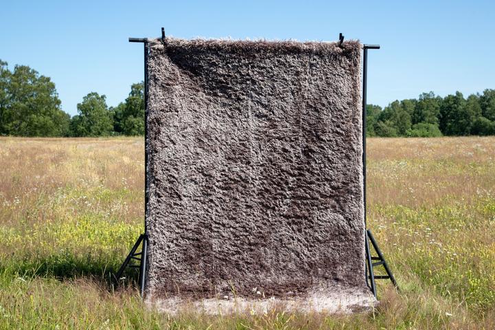Produktbild Venture Home Teppich Grace (200 x 300 cm)