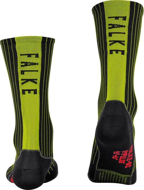 Image du produit Falke BC Impulse (37 - 38)