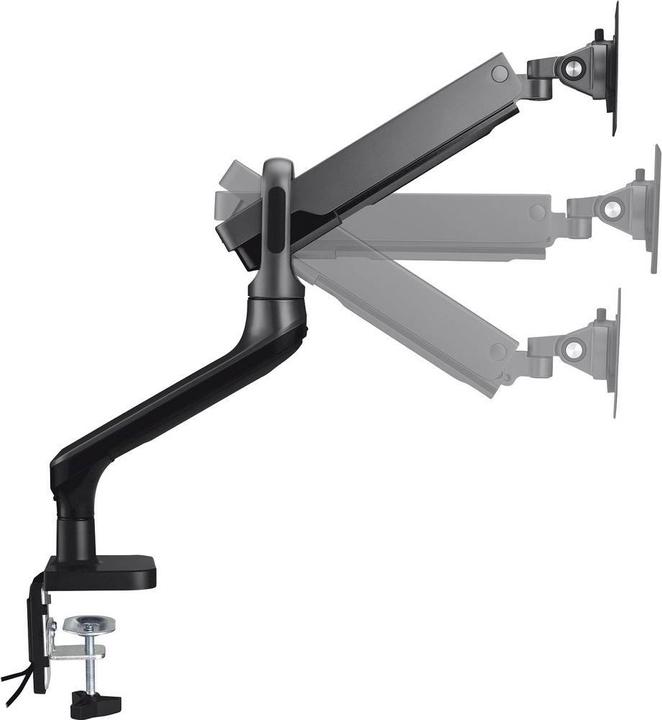 Produktbild myWall Monitor Tischhalterung 43,2 cm (17) 81,3 (32) Neigbar, Drehbar (Tisch, 32.01")