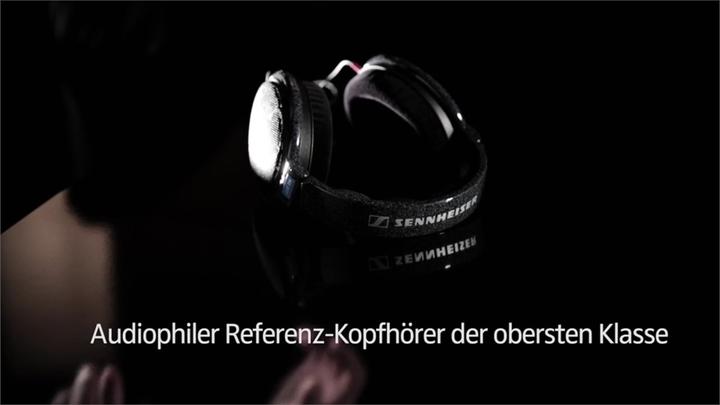 Actual product image Sennheiser HD 600 (No noise cancelling, Cable)