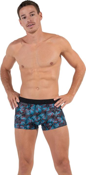 Actual product image HOM HO1 BoxerBrief Microfibre (XL, Single pack)