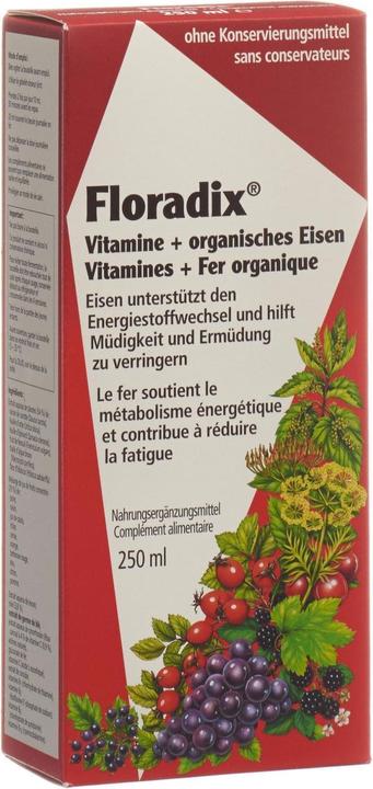 Floradix Vitamine und organisches Eisen (1 Stück, Flüssigkeit, 614 g)