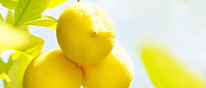 Produktbild Weleda Citrus (Spray, 100 ml)