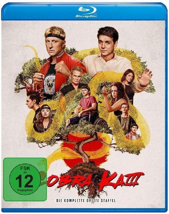 Image du produit Cobra Kai - Saison 3 - BR (Blu-ray, 2022, Allemand, Anglais)