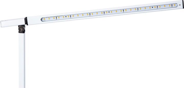 Actual product image Nino Leuchten NOWA Tischleuchte Marek (500 lm)