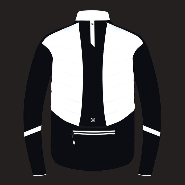 Image du produit Proviz Hommes Reflect360 Platinum Veste pour vélo électrique (L)
