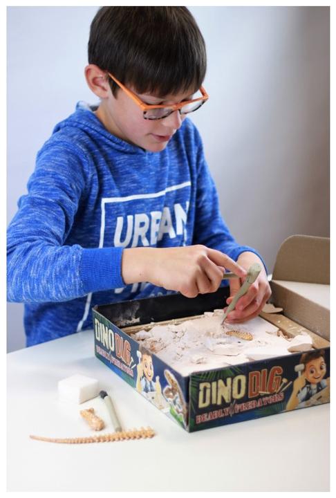 Actual product image Buki Dino Dig