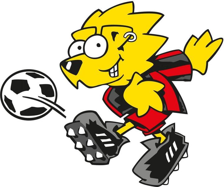 Actual product image Bayer 04 Leverkusen Brian (60 x 72 cm)
