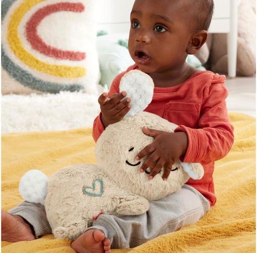 Actual product image Fisher-Price Slumber bunny